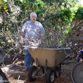 Wooden planter + multigenerational fun