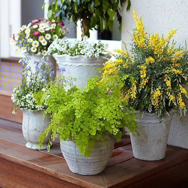 how to entertain outdoors
