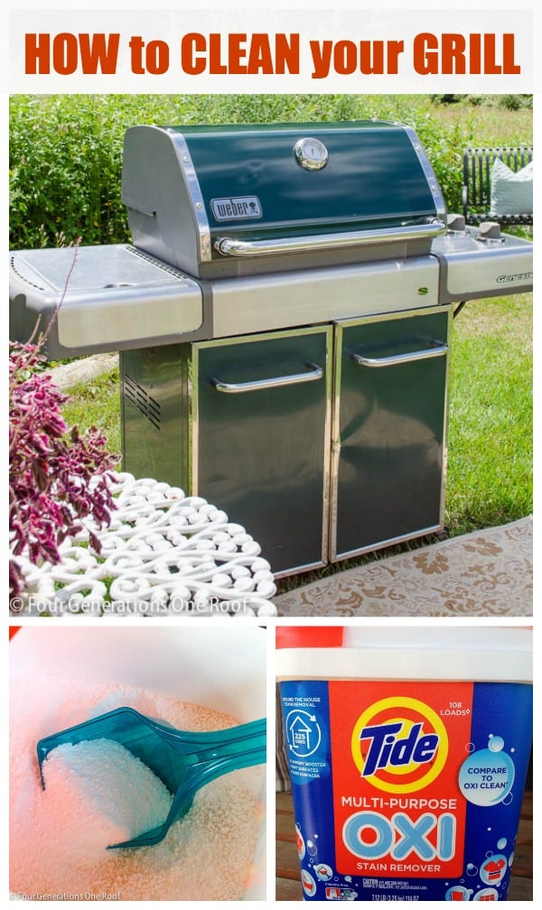 Weber Grill Cleaning Collection