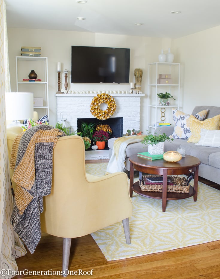 Beautiful Transitional Living Room