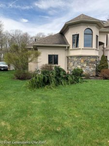 Removing The Alaskan Cedar Tree in our Front Yard {before and after ...