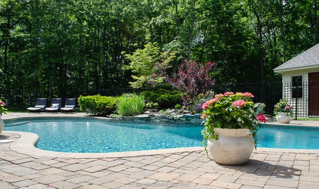 kidney design pool, rock wall flower bed, paver patio, potted pink hydrangeas