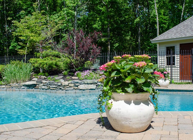 potted hydrangea bushes around a pool with flower bed -2