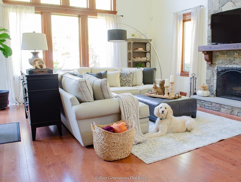 white goldendoodle in a living room laying on floor, white sectional, black ottoman, cathedral ceiling