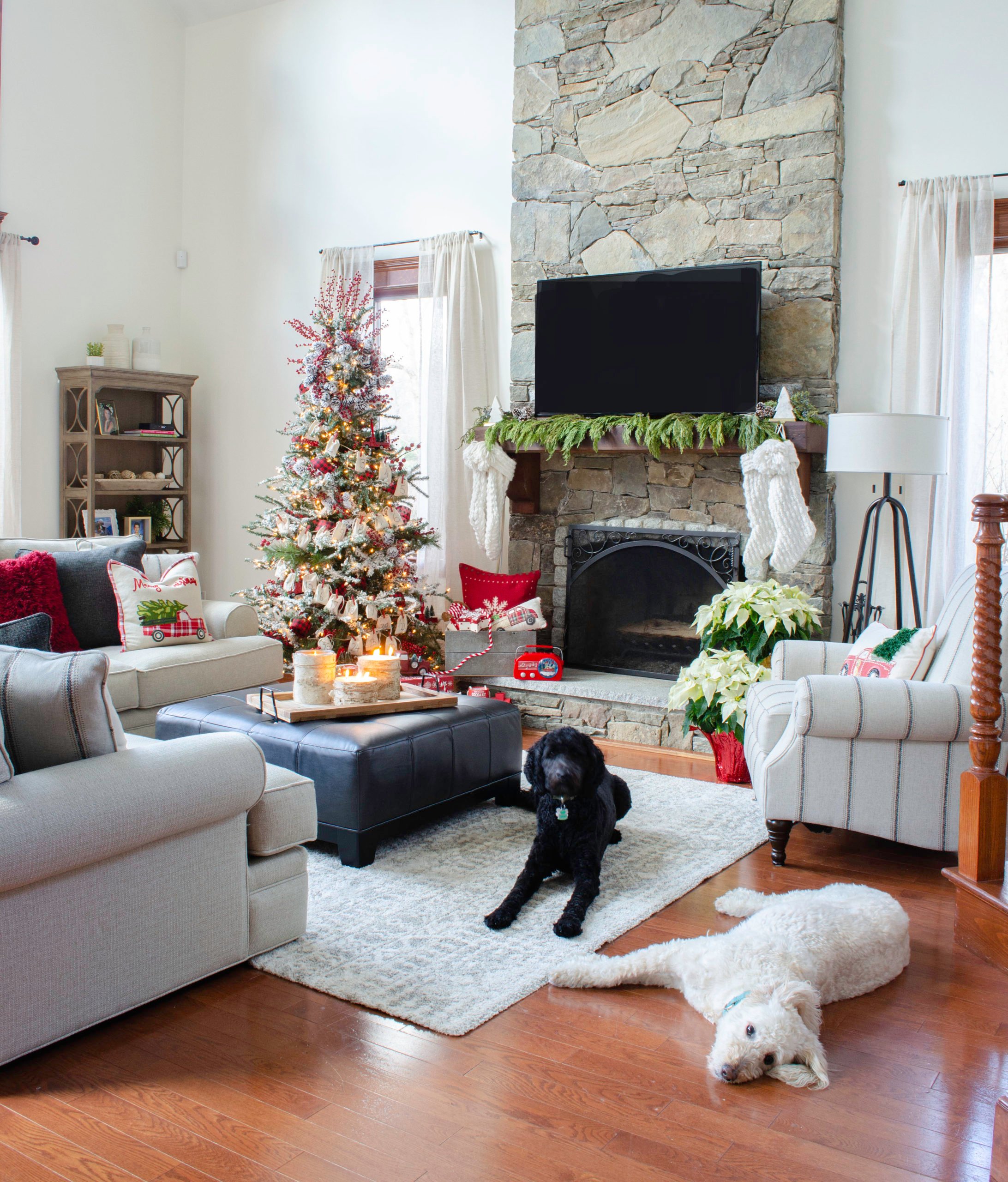 hardwood floors and dogs in Christmas living room
