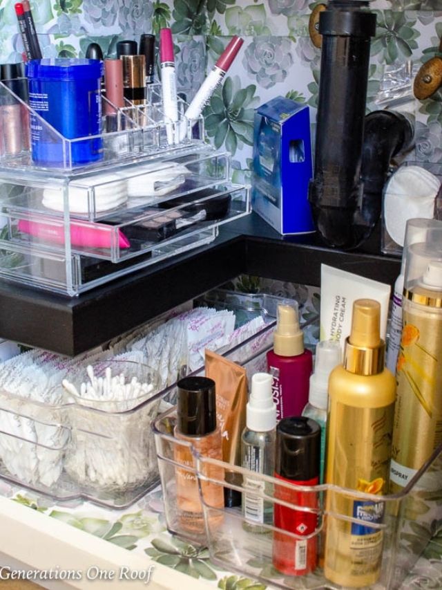 BATHROOM SINK CABINET UNDER STORAGE IDEAS
