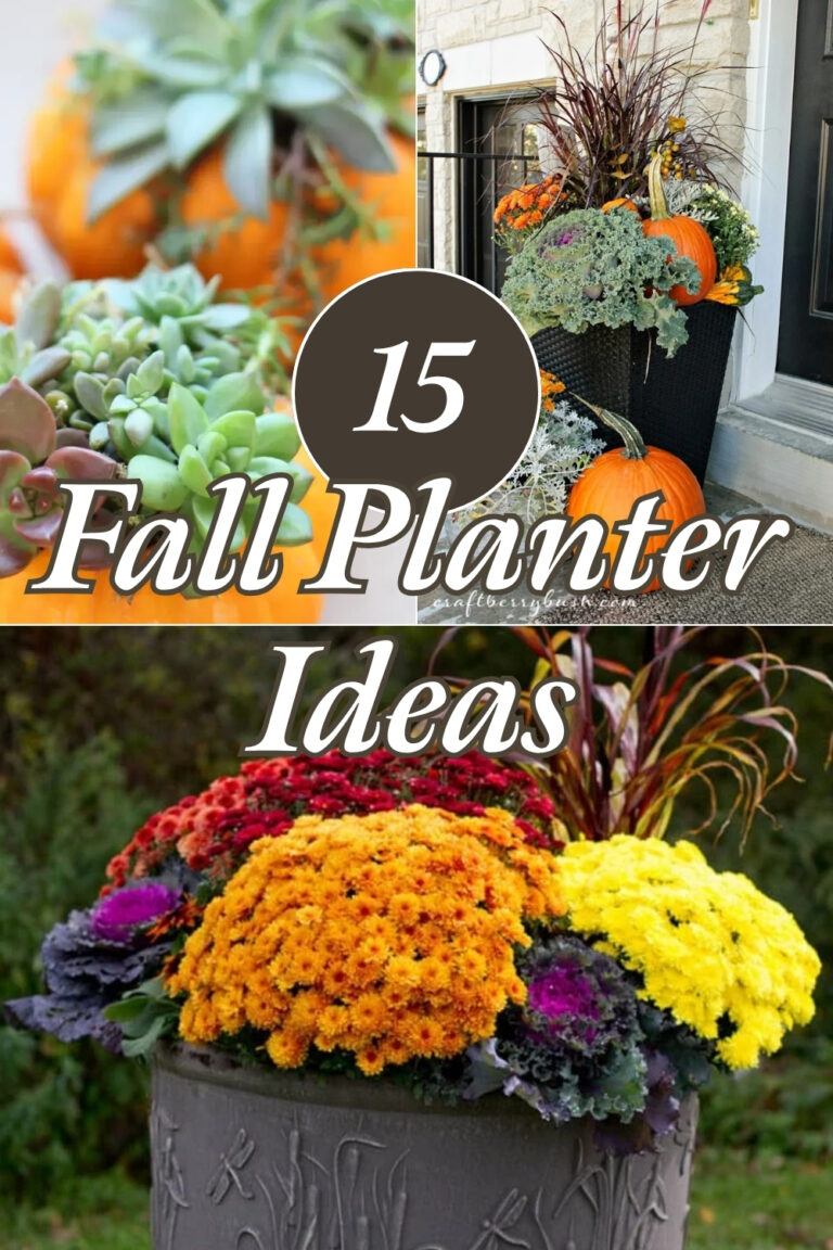 Easy Fall Planter Ideas That Work