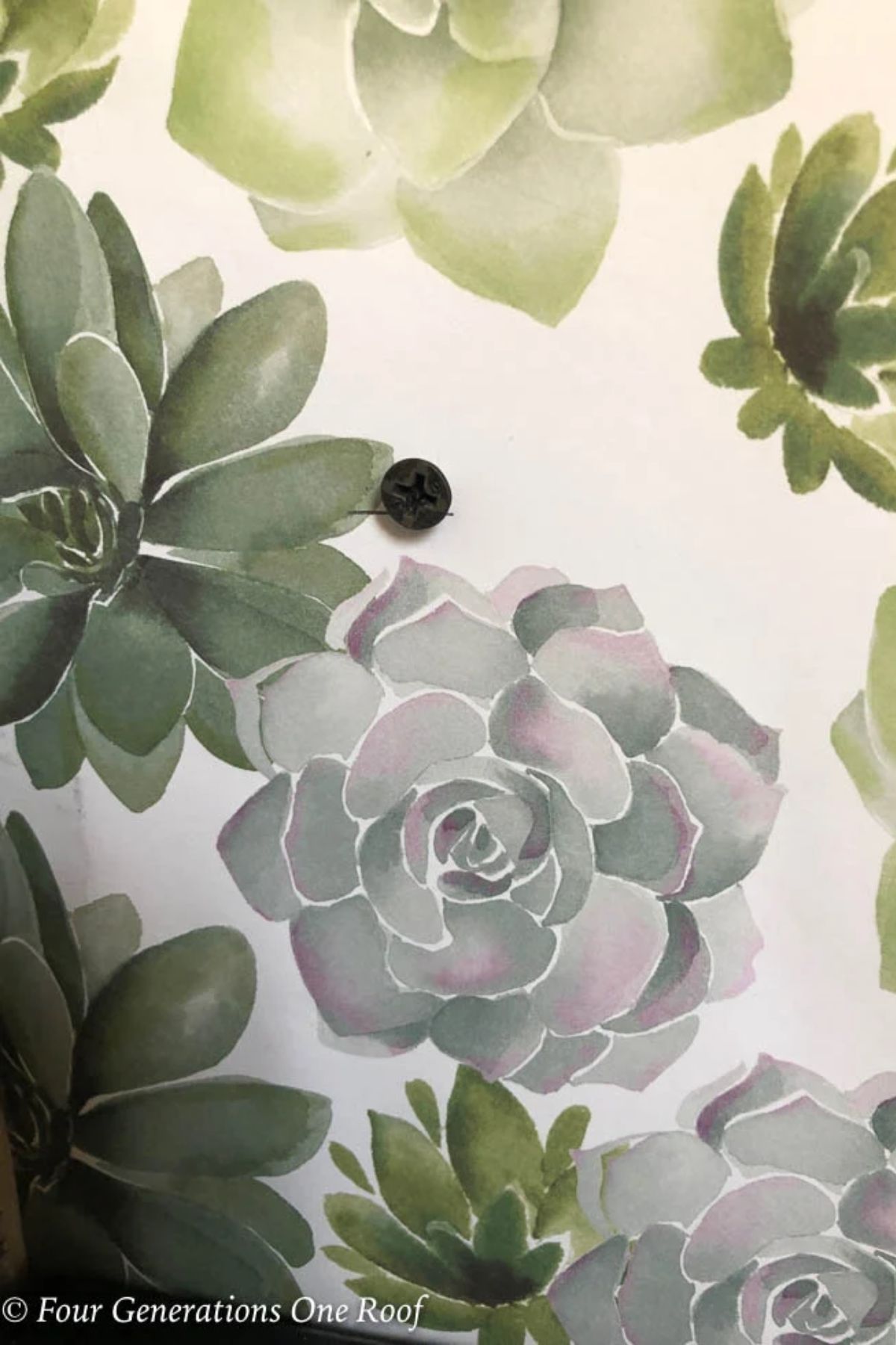 Green flowered drawer liner from HomeGoods to line cabinet walls and shelf + screw for hanging a shelf 